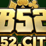 Profile picture of B52 city