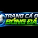 Profile picture of tcdbdcloud