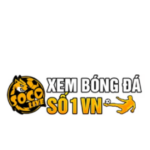 Profile picture of Socolivetv bio