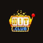 Profile picture of hitclub12net