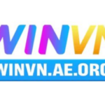Profile picture of WINVN