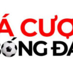 Profile picture of cacuocbongda10com