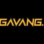 Profile picture of gavang tv