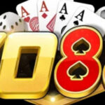 Profile picture of YO88 career