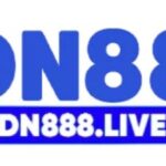 Profile picture of dn888live