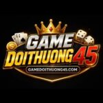 Profile picture of gamedoithuong45