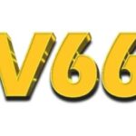Profile picture of cv666pluscom
