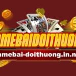 Profile picture of gbdtinnet