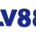 Profile picture of lv88mcom