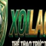 Profile picture of Xoilac