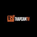 Profile picture of Thapcamtv cloud