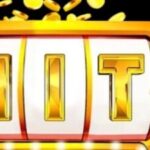 Profile picture of Hitclub