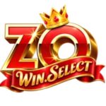 Profile picture of zowinselect