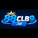 Profile picture of 88clb9io