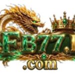 Profile picture of fb77itcom