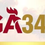 Profile picture of ga345cam