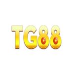 Profile picture of TG88