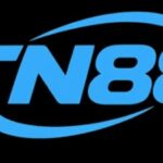 Profile picture of TN88