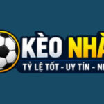 Profile picture of Kèo Nhà Cái trade