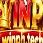 Profile picture of wnph tech