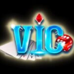 Profile picture of VICCLUB HOUSE