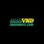 Profile picture of 888 VND