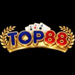Profile picture of cổng game top88