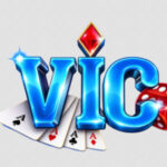 Profile picture of VicClub Business