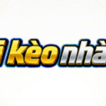 Profile picture of trmeritking casino
