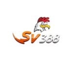 Profile picture of SV388