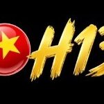 Profile picture of H13
