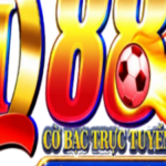 Profile picture of qh88 rsonline