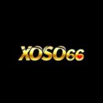 Profile picture of xoso6611latcom
