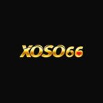 Profile picture of Xoso 66