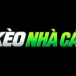 Profile picture of Tỷ Lệ Kèo Nhà Cái gg