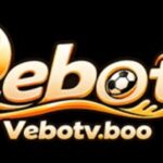 Profile picture of VeboTV boo
