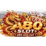 Profile picture of a80 slot