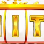 Profile picture of hitclub sanet