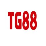 Profile picture of Nhà Cái TG88