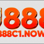 Profile picture of u888c1now