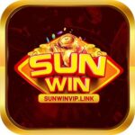 Profile picture of sunwinviplink