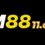 Profile picture of fm8811com