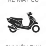 Profile picture of Gia Bảo